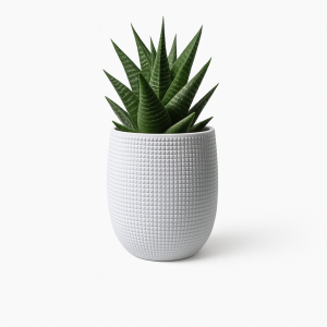 maceta zen