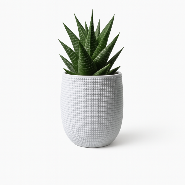 maceta zen