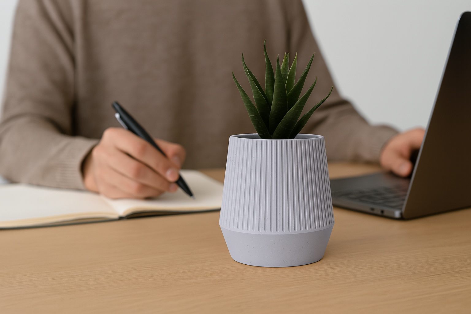 maceta arista maceta arista