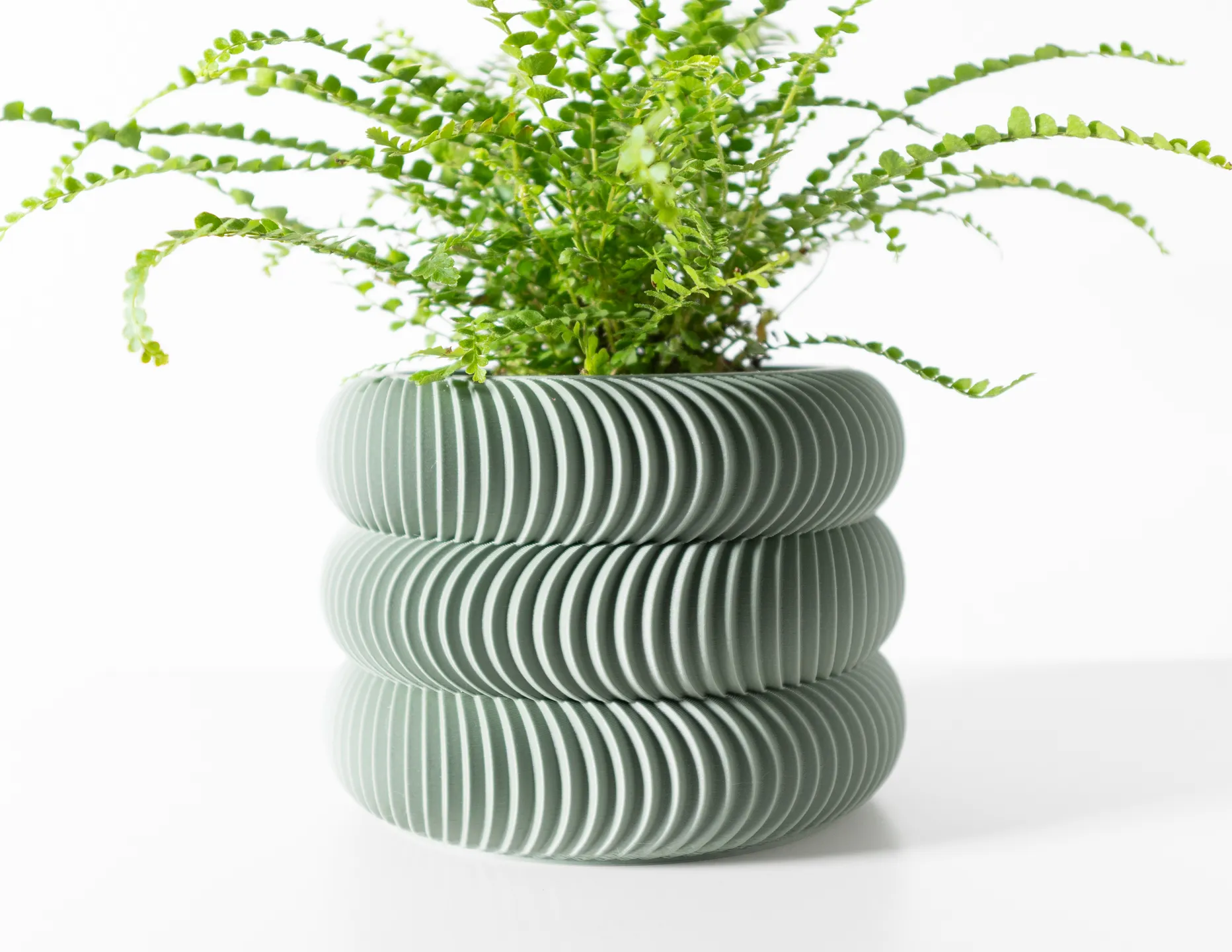 maceta ondra maceta ondra