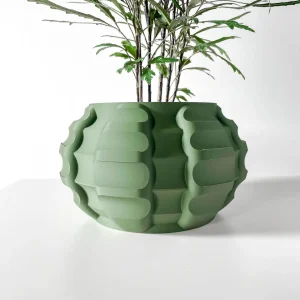 maceta cactus shell