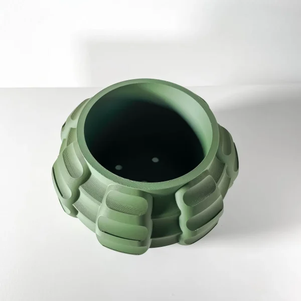maceta cactus shell