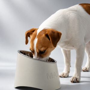 pet bowl diagonal
