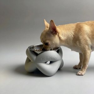 pet bowl stencil