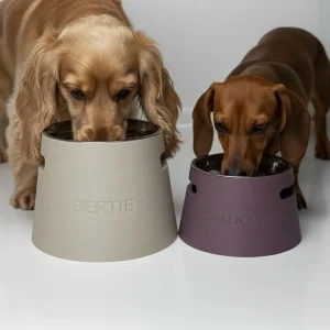 pet bowl