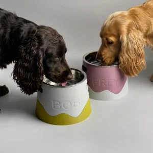 pet bowl dual