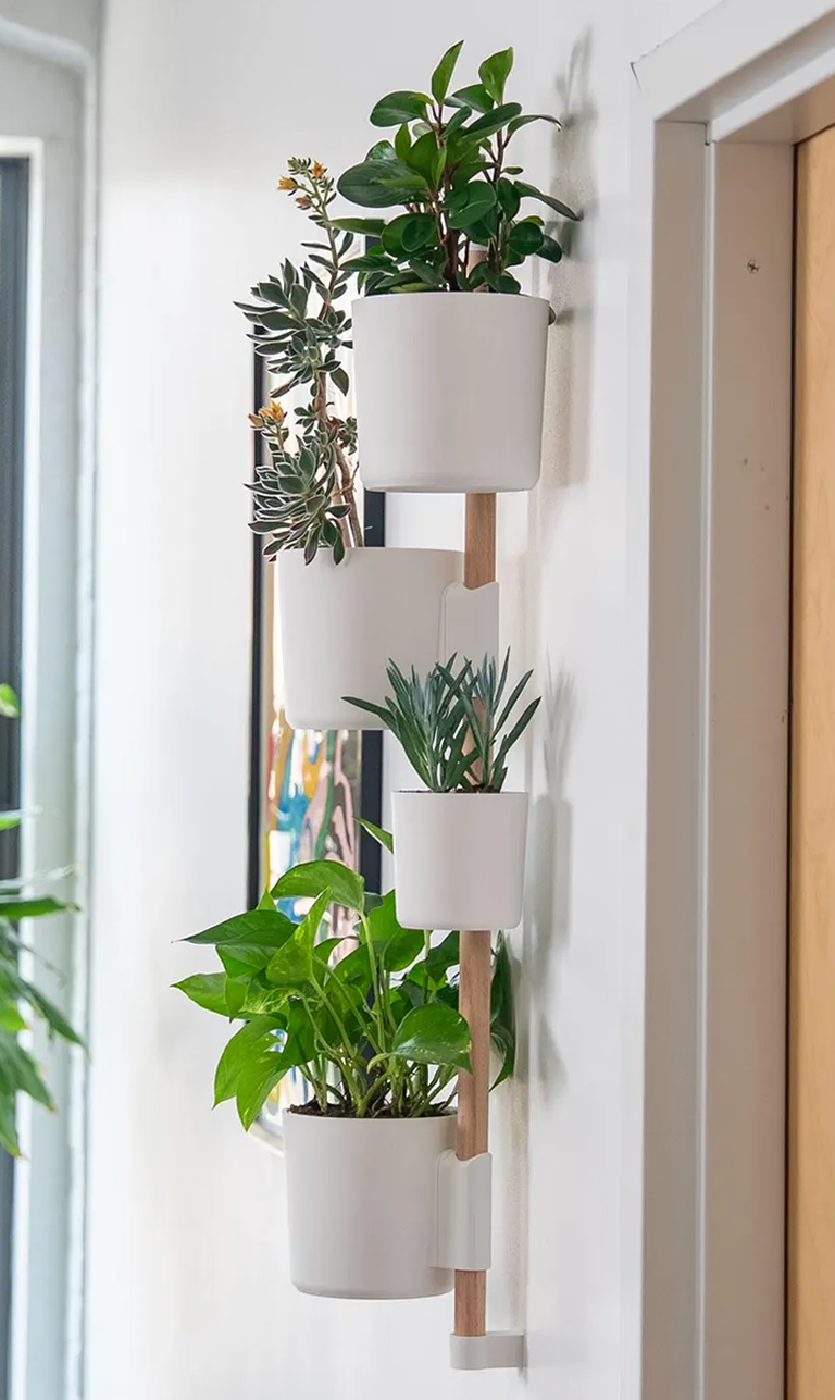 maceta de pared.fw